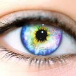 Ученые разгадали тайну цветного зрения