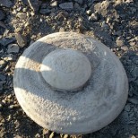 «Летающей тарелке», найденной в Кузбассе, 260 млн лет — ученые