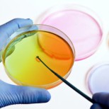 Дас ист фантастиш: ученые научились подгонять искусственную сперму