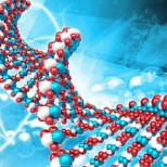 25 апреля — Международный День ДНК