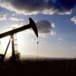 Цена на нефть обновила годовой максимум