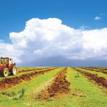 Запускается программа по созданию единого сельскохозяйственного бренда и Союза фермеров Абхазии