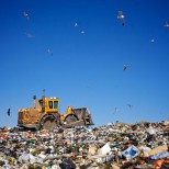 Госкомэкологии: в Абхазии появятся мусорные полигоны